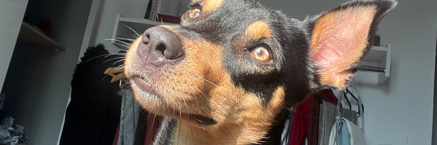 linadiass's profile banner image