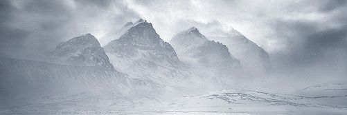 stevenhfischer's profile banner image