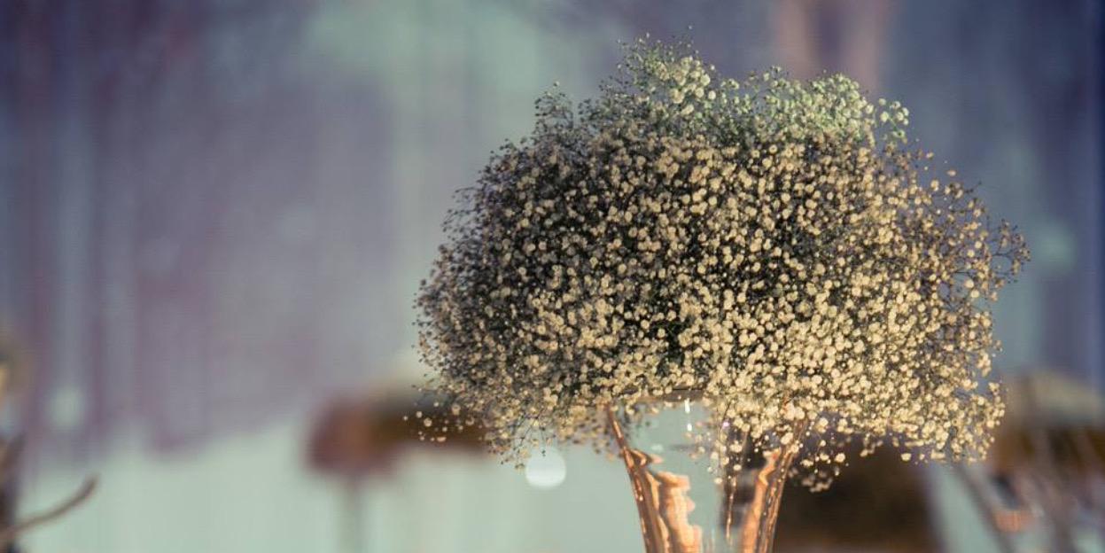 bhtrkotil's profile banner image