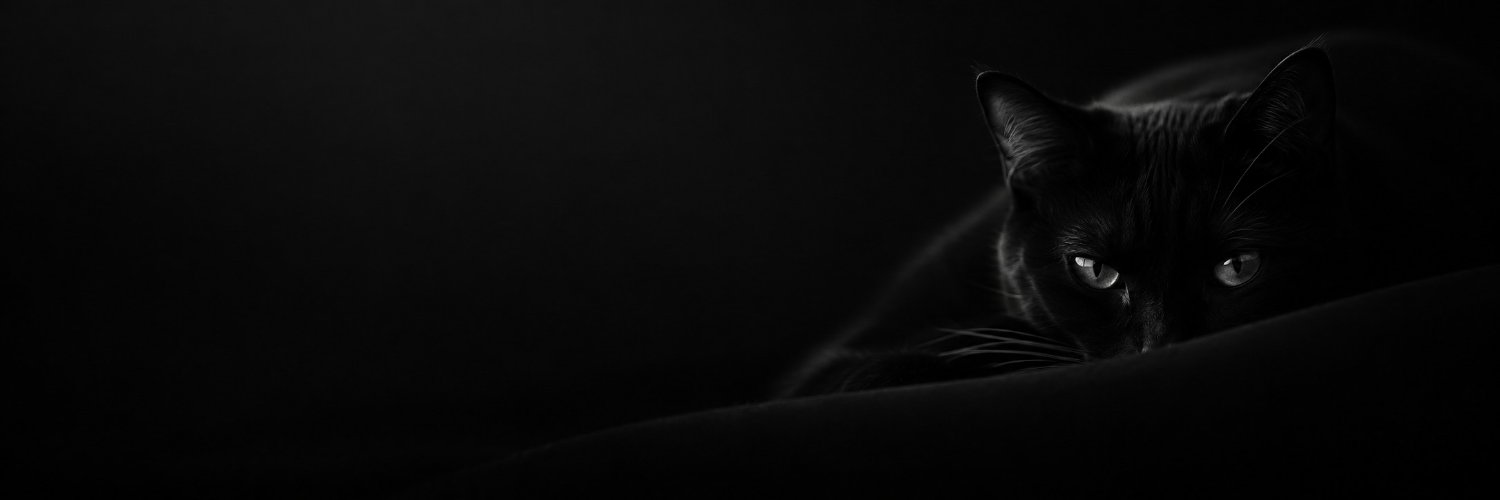 RockerPiL's profile banner image