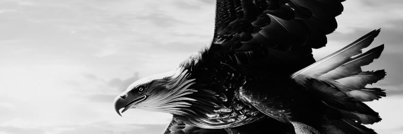 CENGO banner