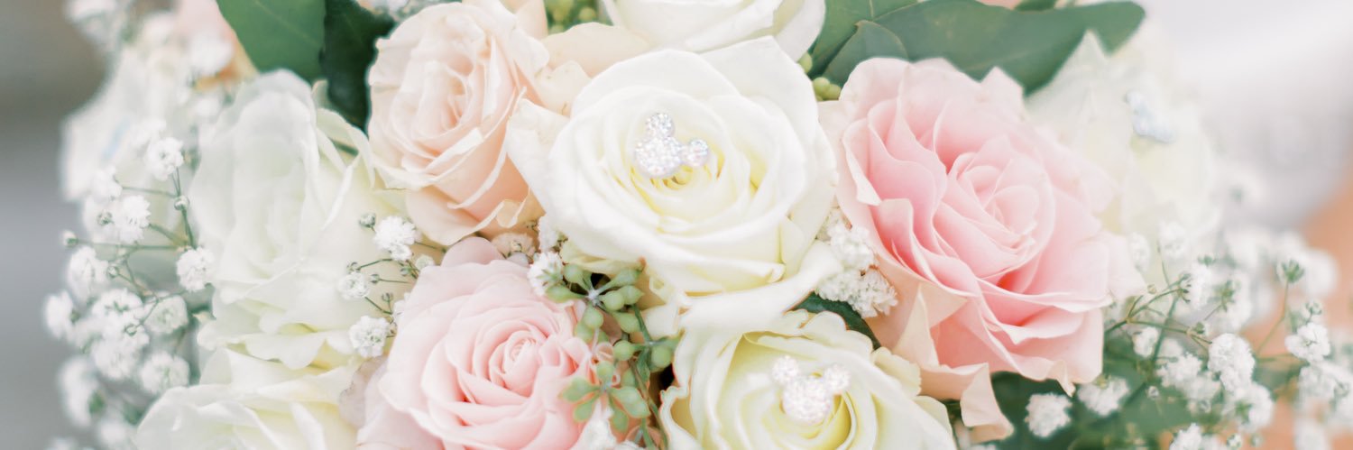 _erinmitchell_'s profile banner image