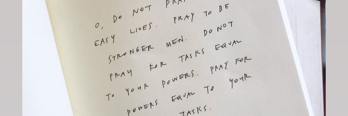 Sarah Wiltfong banner