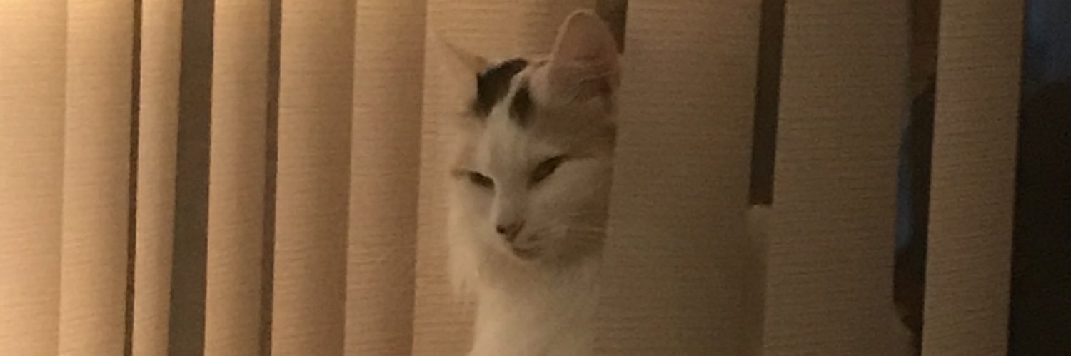 oolie2006's profile banner image