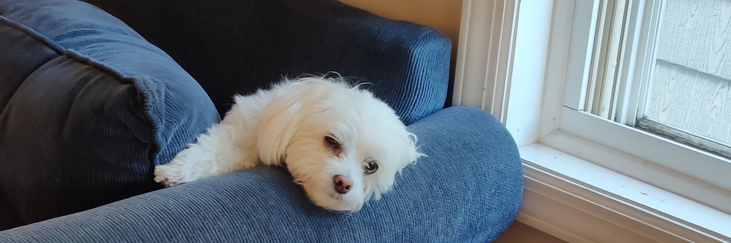 lolsbury hill banner