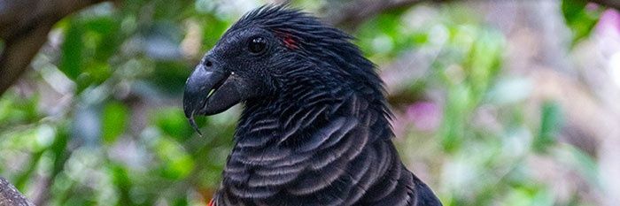 rajpersonal2002's profile banner image