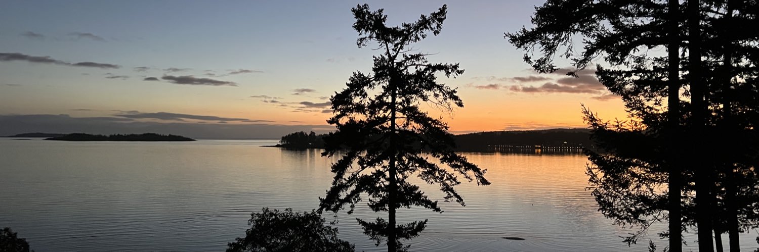 WestHawkLake's profile banner image