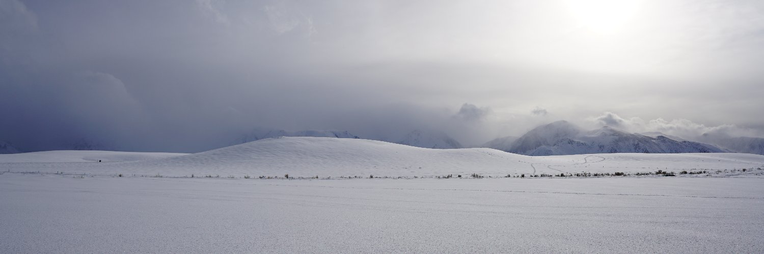 Brent Barbata banner