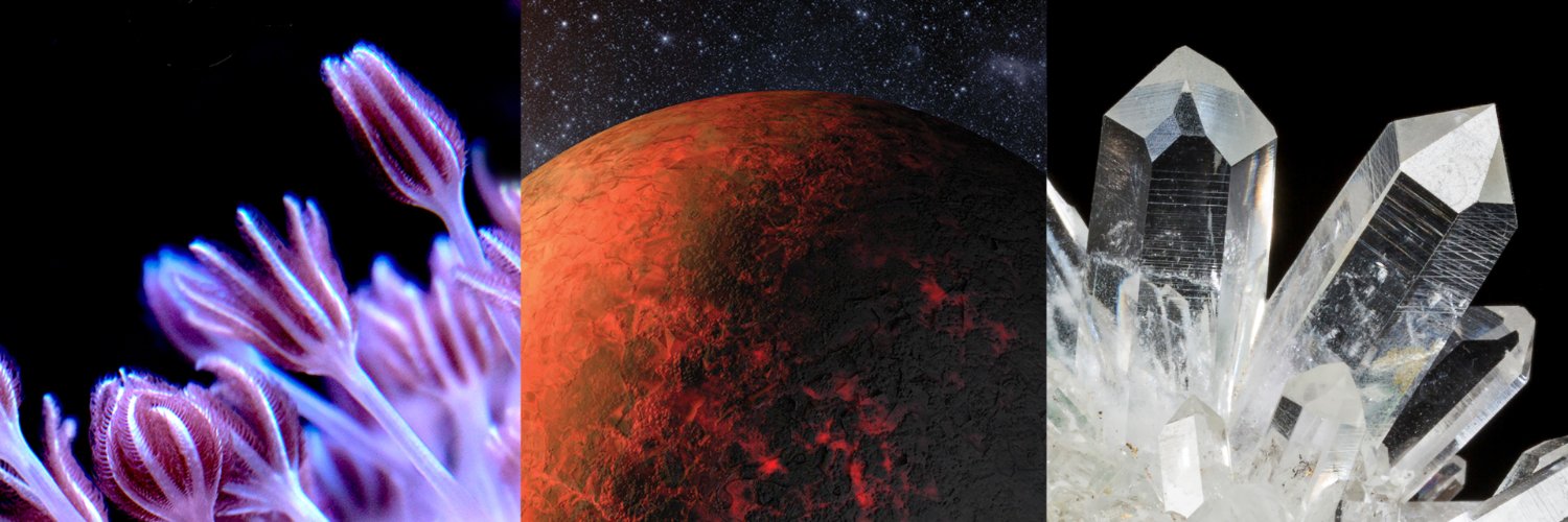 CarnegiePres's profile banner image