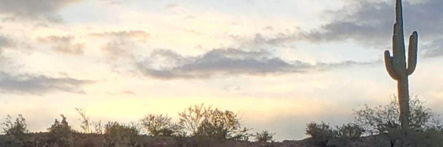 katesdragon1's profile banner image