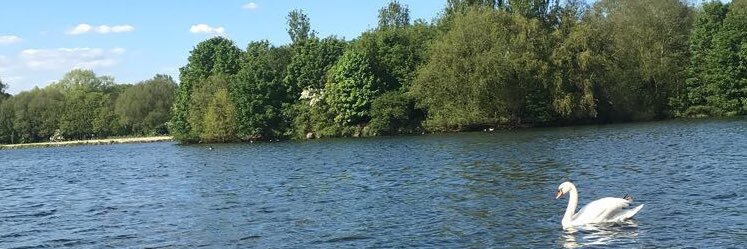 Sami | سامي banner