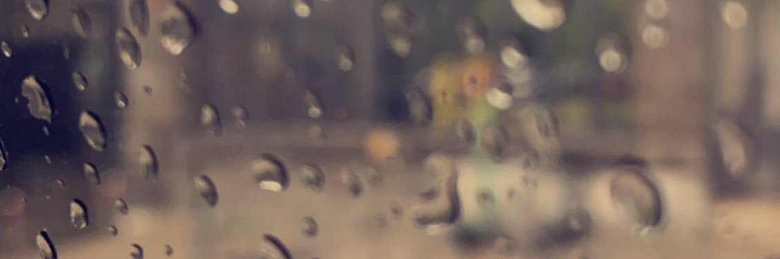 esra_mohammed's profile banner image
