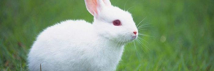 kvintners's profile banner image