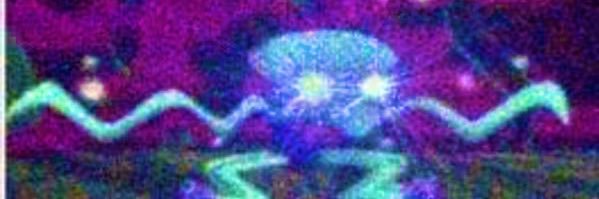 nodgeniff's profile banner image