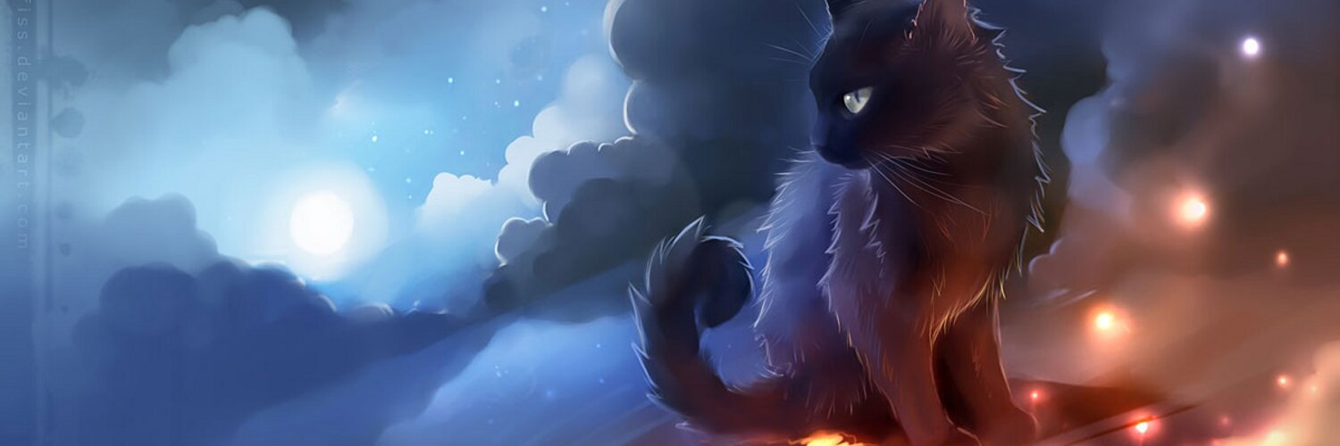 Nolly_M's profile banner image