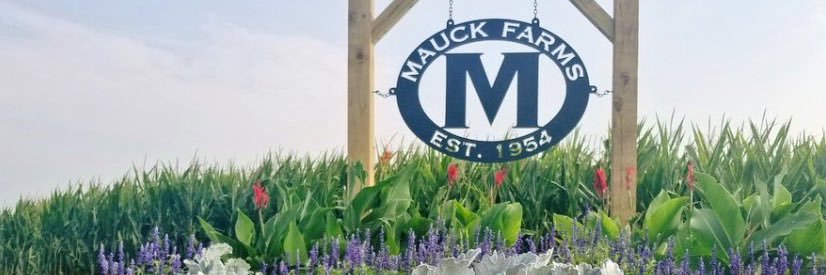 Jason Mauck's banner