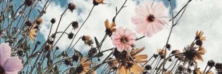 sabiansky's profile banner image