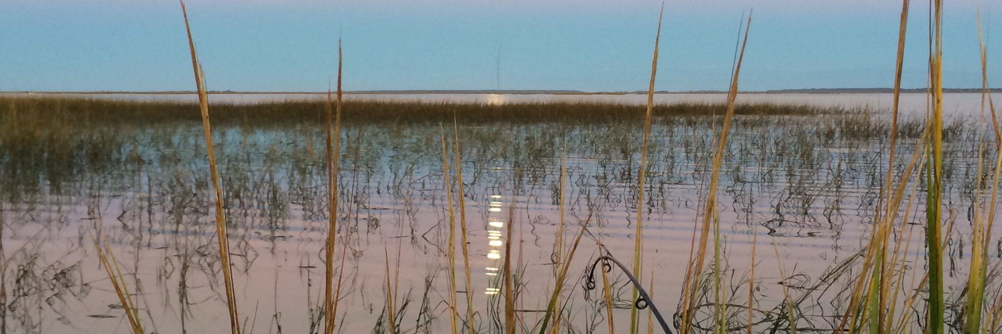 Shon Isenhour banner