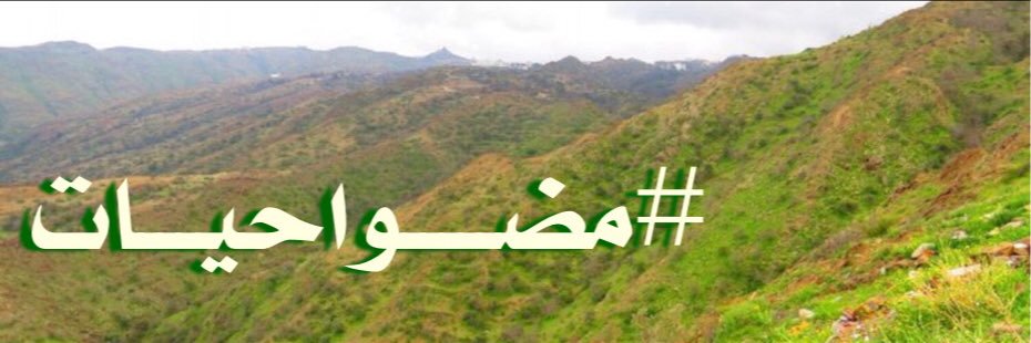 modwah's profile banner image