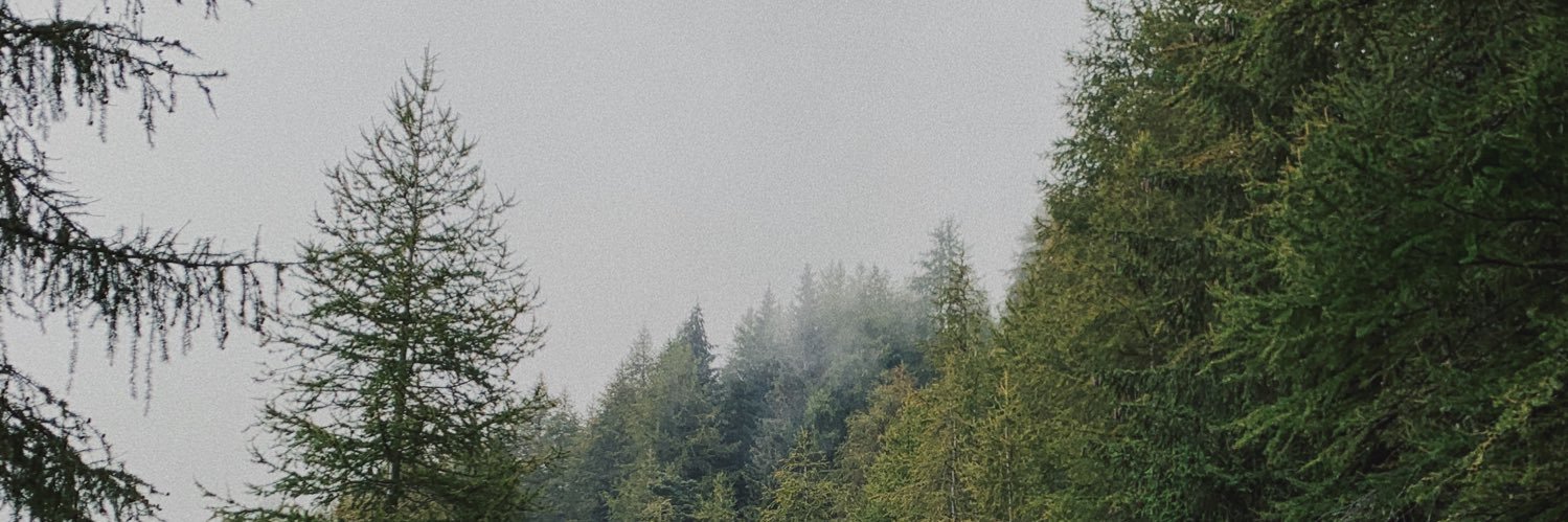 Deanna Hong banner