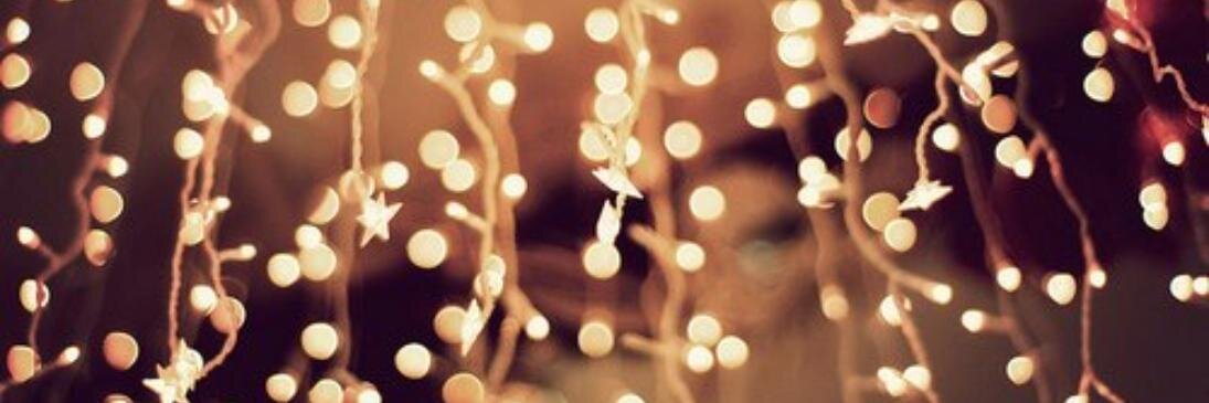 laurpannepacker's profile banner image