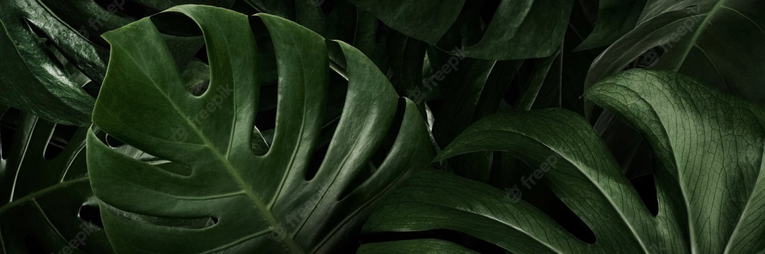 ojcx_'s profile banner image