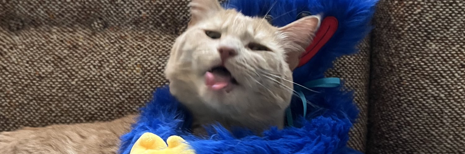 Taylor Gessler Lanning banner