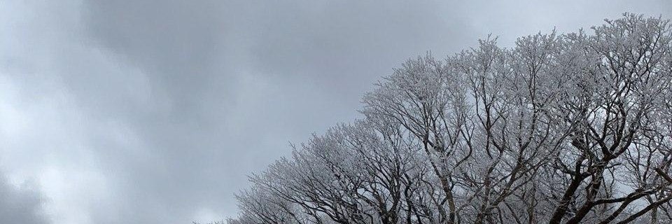 farismanap's profile banner image