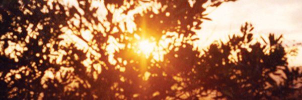therealkurtvile Profile Banner