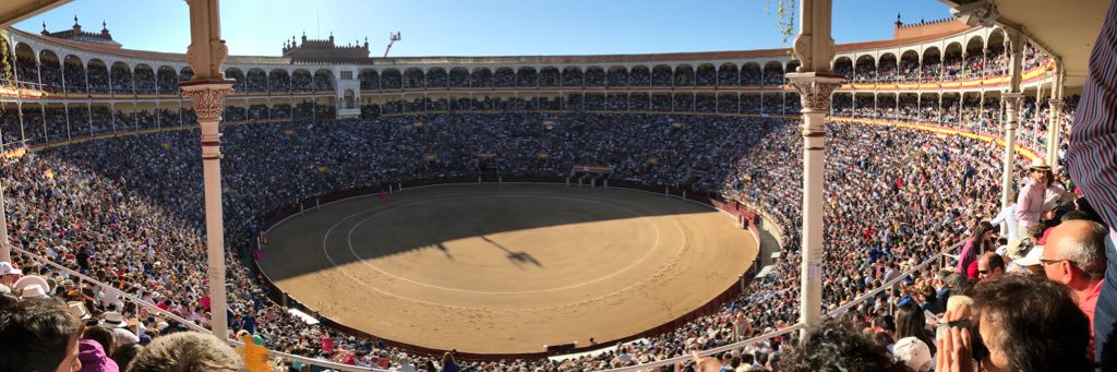Alberto Palace banner
