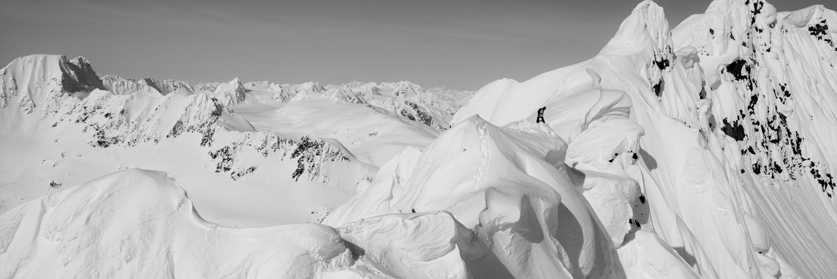 Standard Films banner