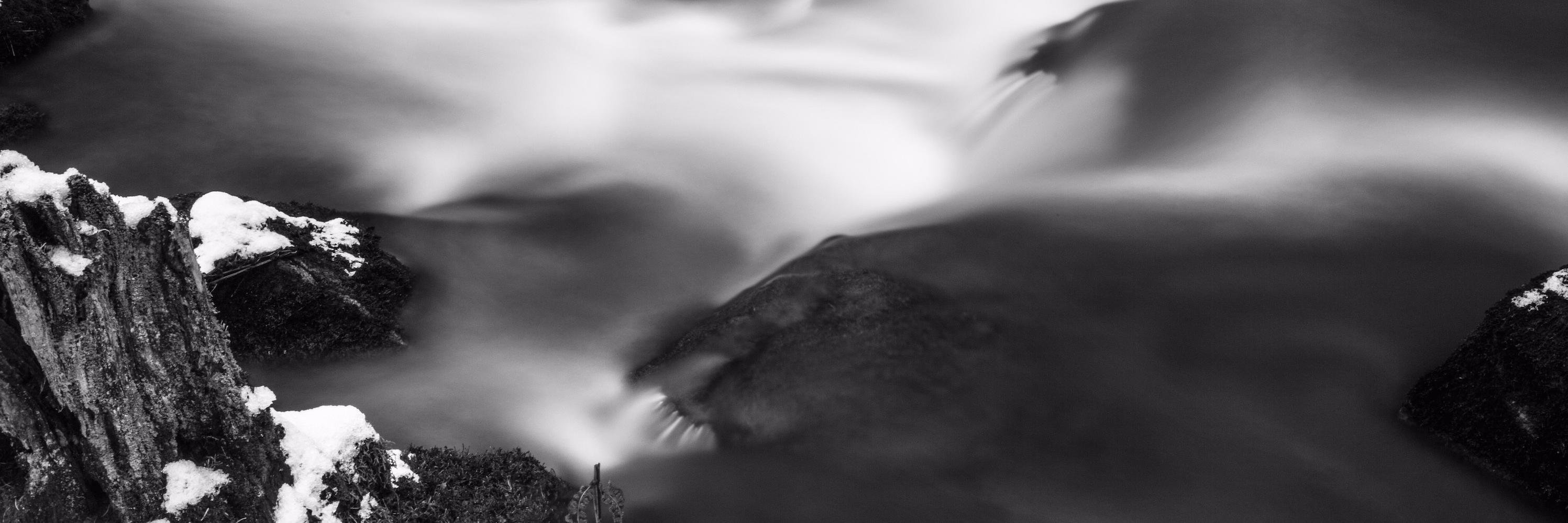 Remember White banner