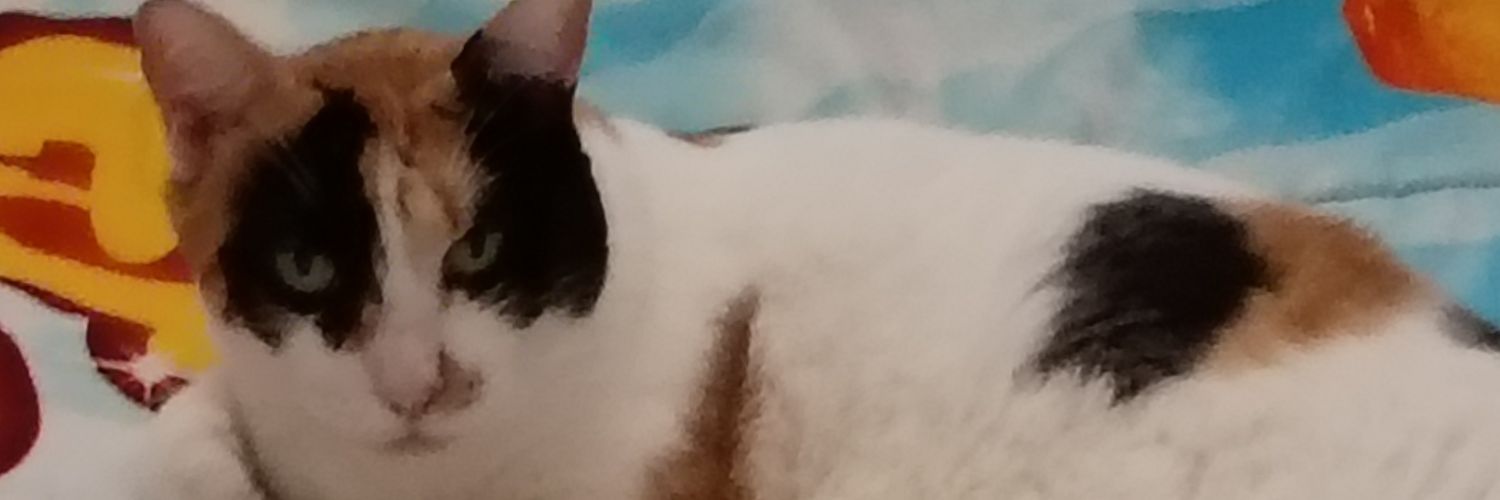 tiffi_candy's profile banner image