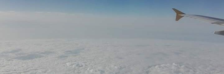 LauraAlcazarS's profile banner image