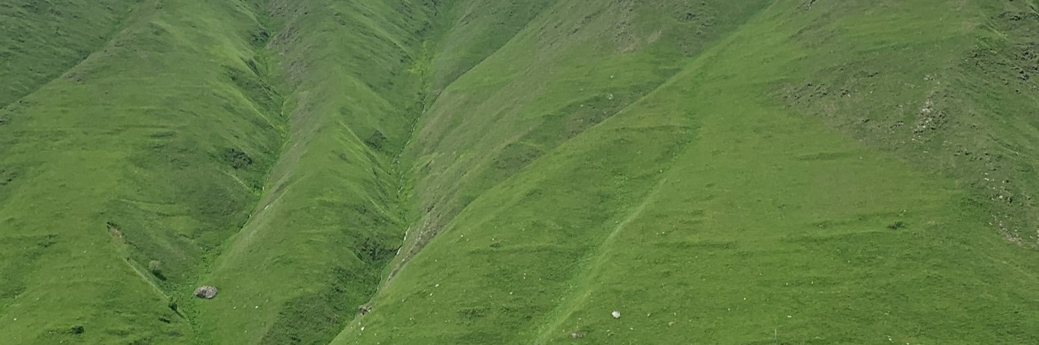 FSolami's profile banner image