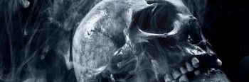 brenotagas's profile banner image
