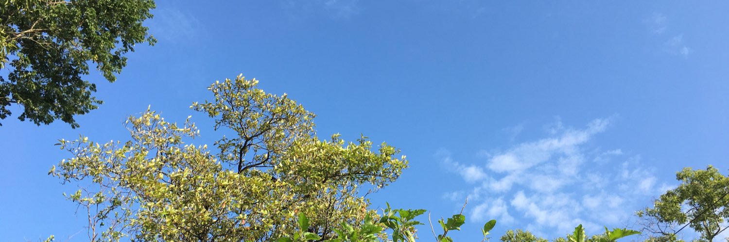 ixchelhf's profile banner image