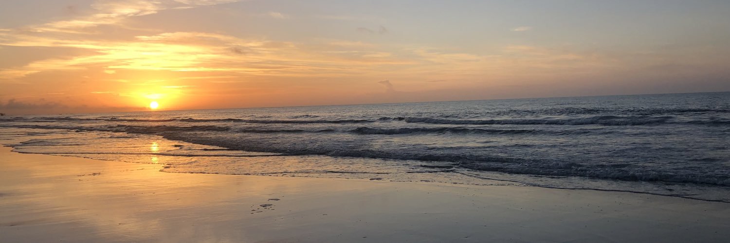 Brian Anderson banner