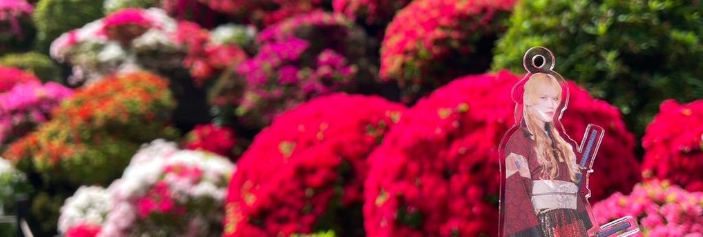 SCSweetness's profile banner image