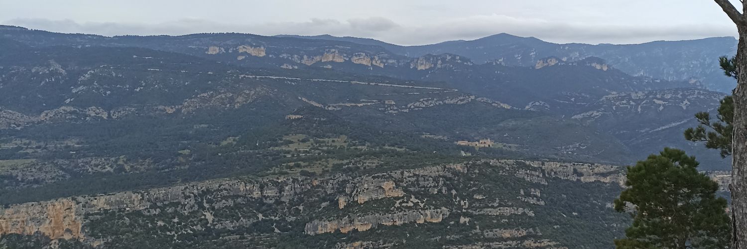 gemma_belbs's profile banner image