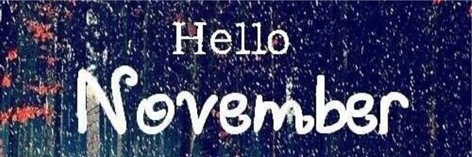 SofiaScottπ² banner