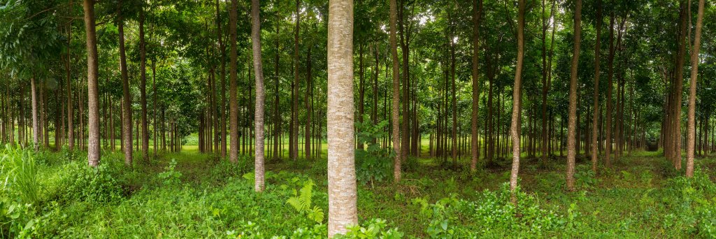 Chad Frischmann 🏳️‍🌈 banner