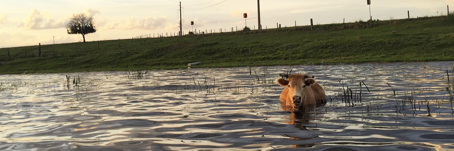 Will Campbell banner