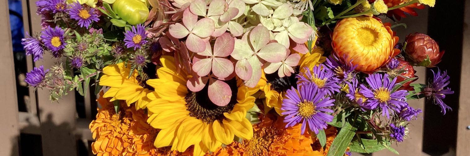 HannahKGrace's profile banner image