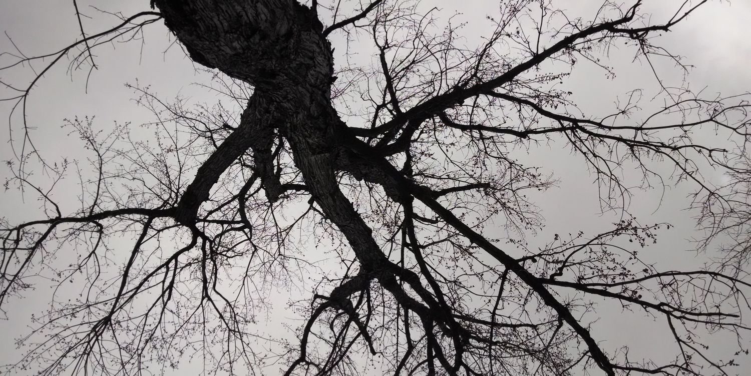 Pinedagger's profile banner image