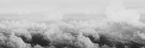 emmlou_twd's profile banner image