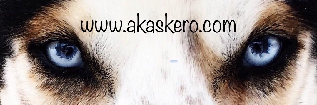 stenomax's profile banner image