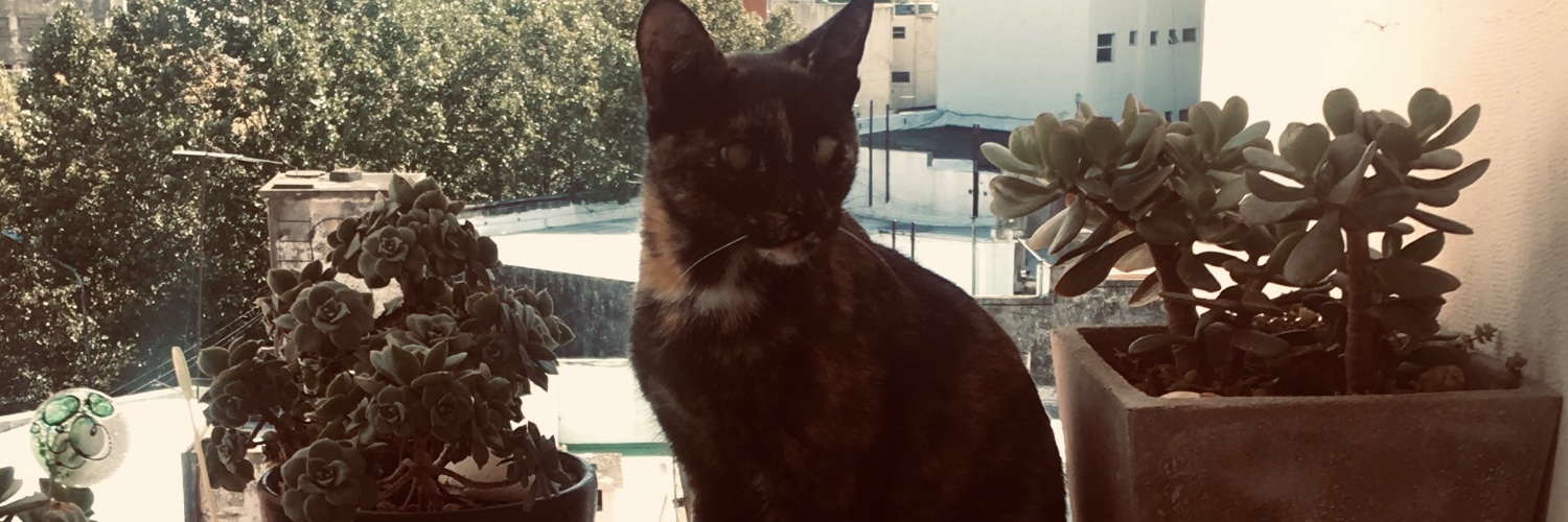 MediGuille's profile banner image
