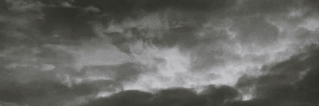 Darwin. banner