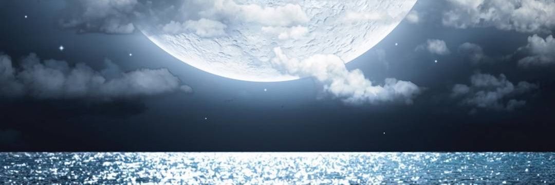 Wharrl's profile banner image